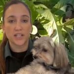Aviso urgente de la Guardia Civil por el regreso de una plaga mortal para los perros