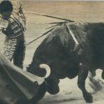 50 años de una tarde inmortal: Camino y Teruel a hombros en Madrid con Manzanares como testigo