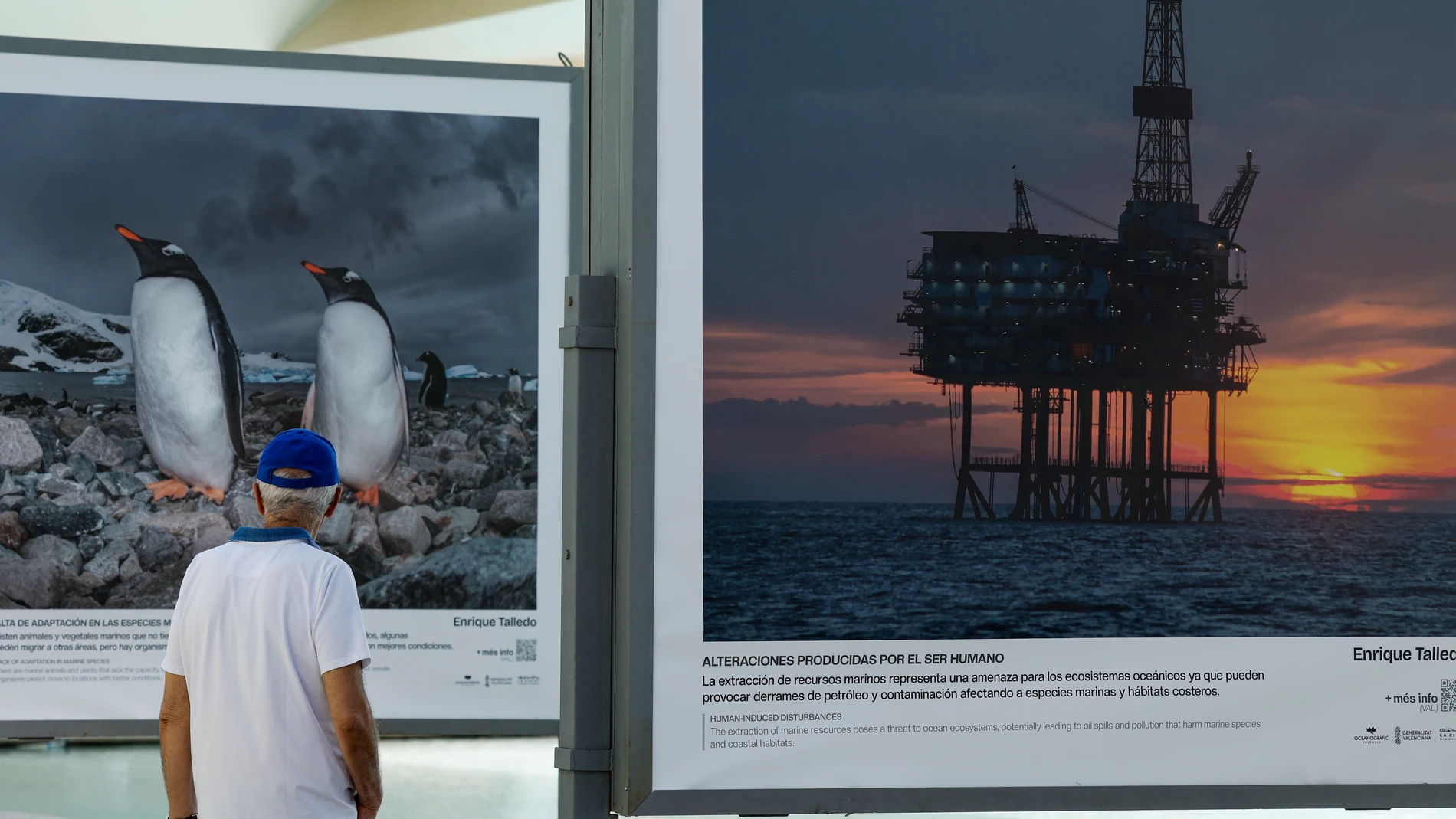 GRAFCVA7660. VALENCIA, 22/05/2025.- Una persona recorre la exposición fotográfica “Cambio global: océanos, 21 evidencias científicas”, del fotógrafo submarino Enrique Talledo que inaugura el Oceanogràfic de València en la Ciudad de las Artes y de las Ciencias. EFE/Ana Escobar