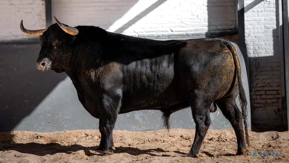 "Tambor", nº 69