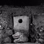 CANTABRIA.-El Museo de Altamira inaugura la muestra fotográfica 'Una nueva historia' de Isabel Muñoz
