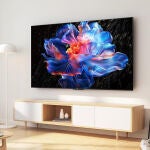 TCL 55V6C 