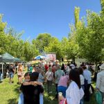 Llegan las fiestas de los barrios de Toledo: este es el calendario con las fechas
