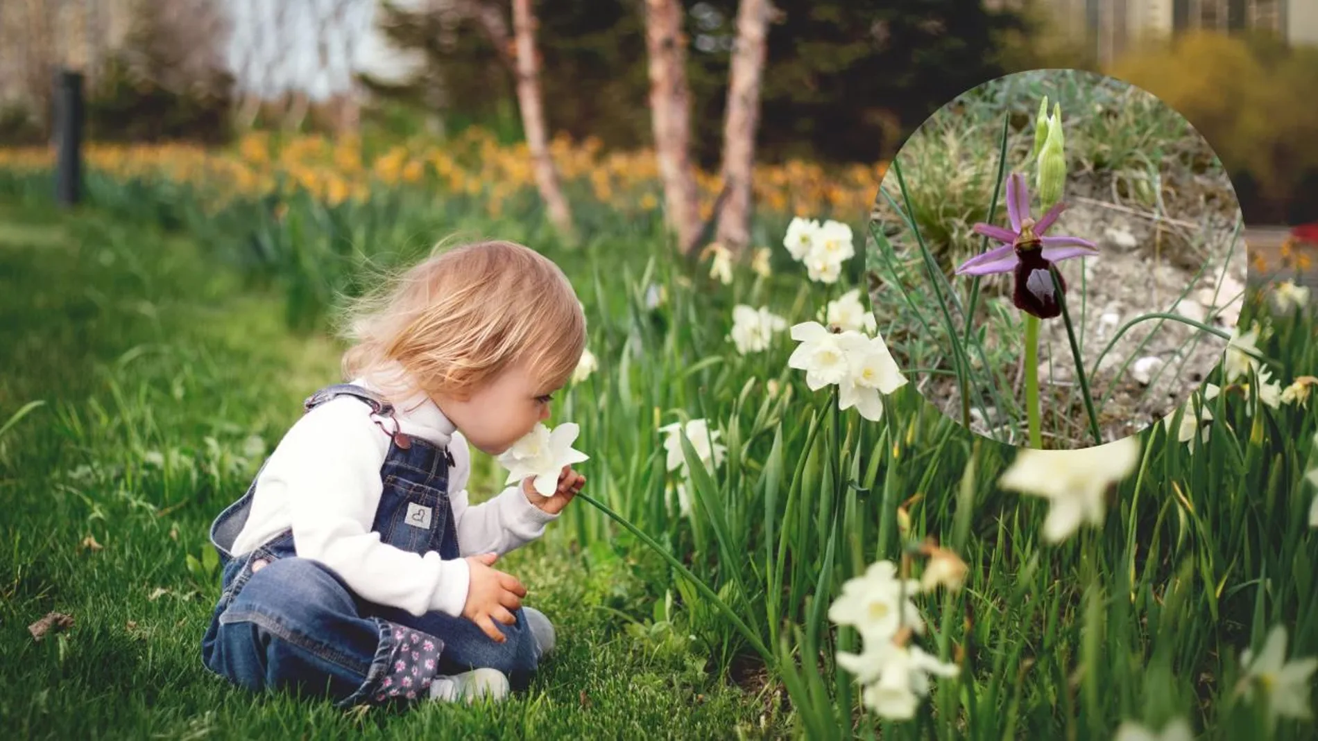 Una niña pequeña junto a unas flores