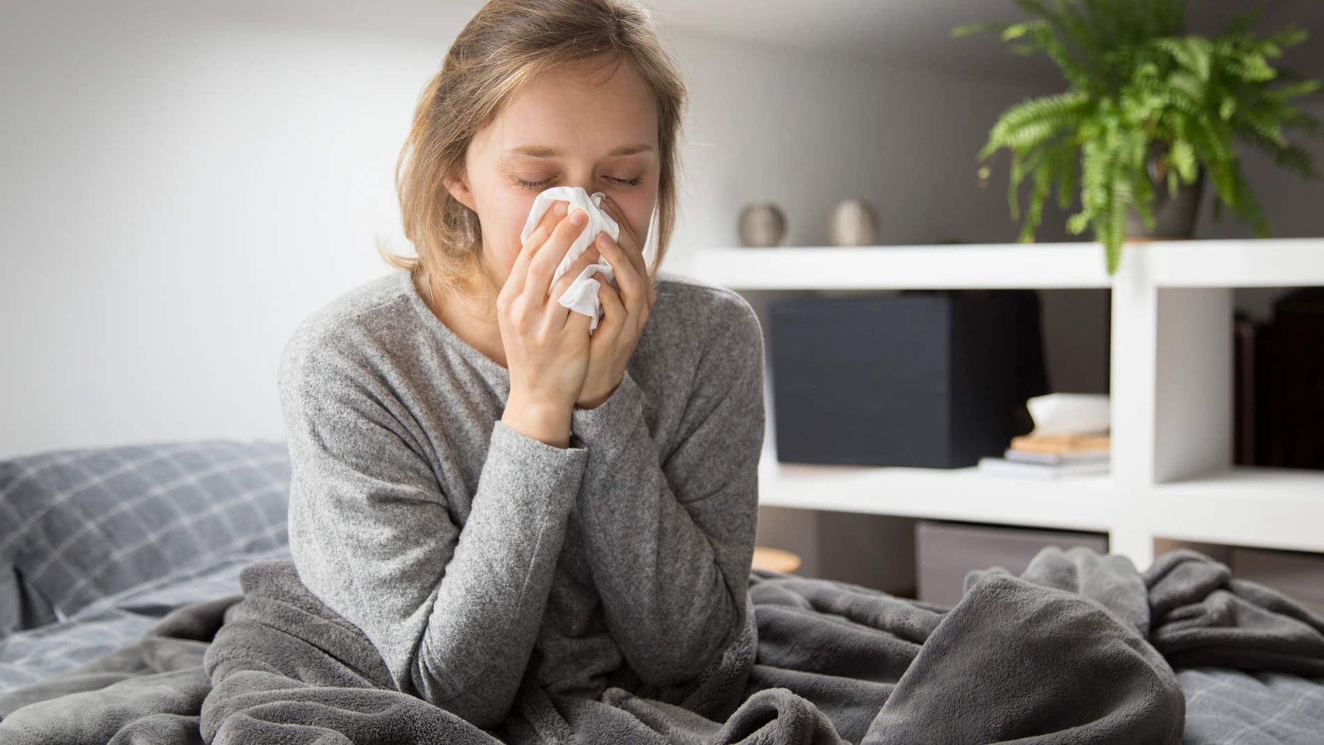 La primavera de este año ha venido acompañada de un aumento notable de casos de alergia debido a las intensas lluvias estos meses