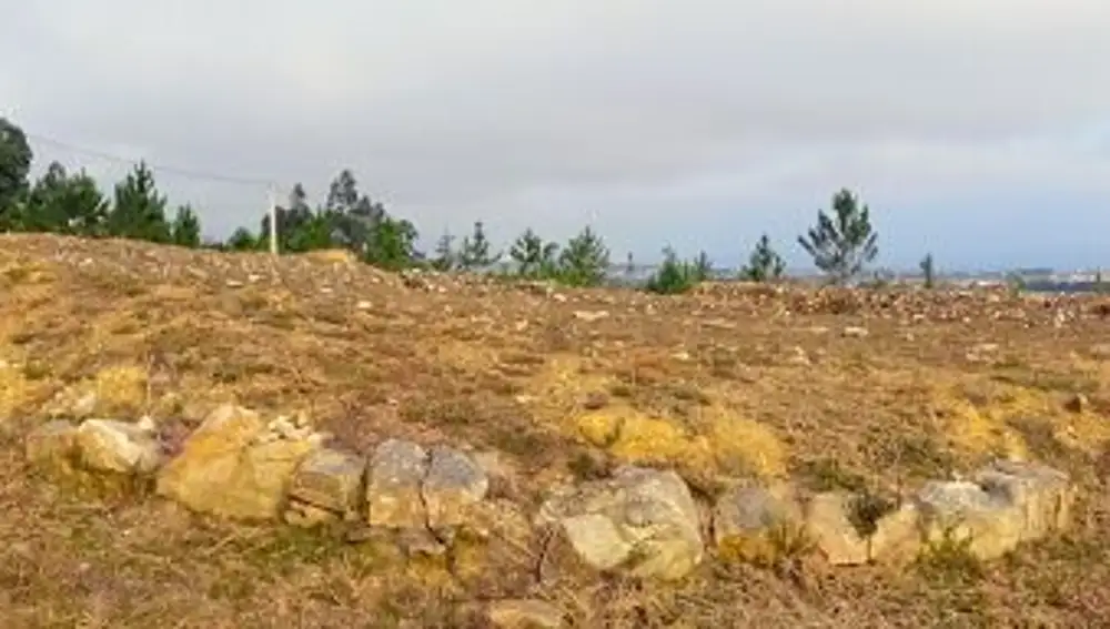 Imagen del yacimiento de A Roda