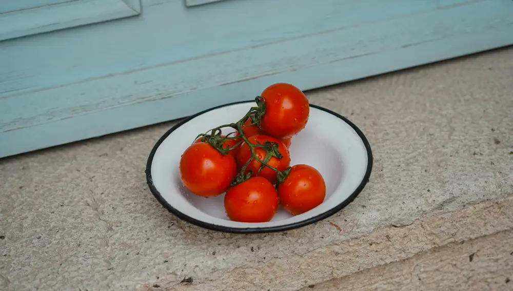 Tomates y bolsitas de té: una combinación ganadora