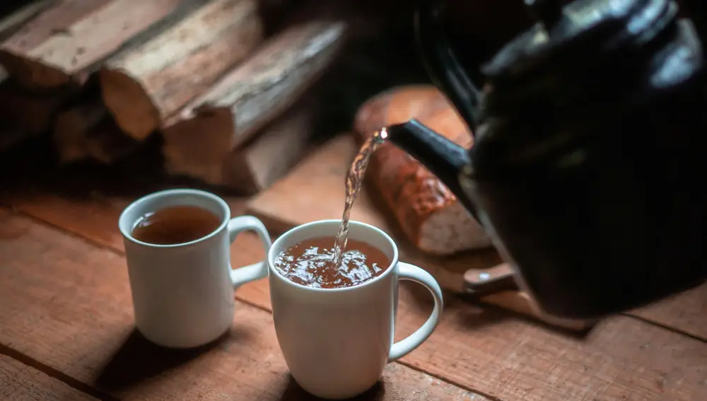 Cómo usar correctamente las bolsitas de té en el jardín