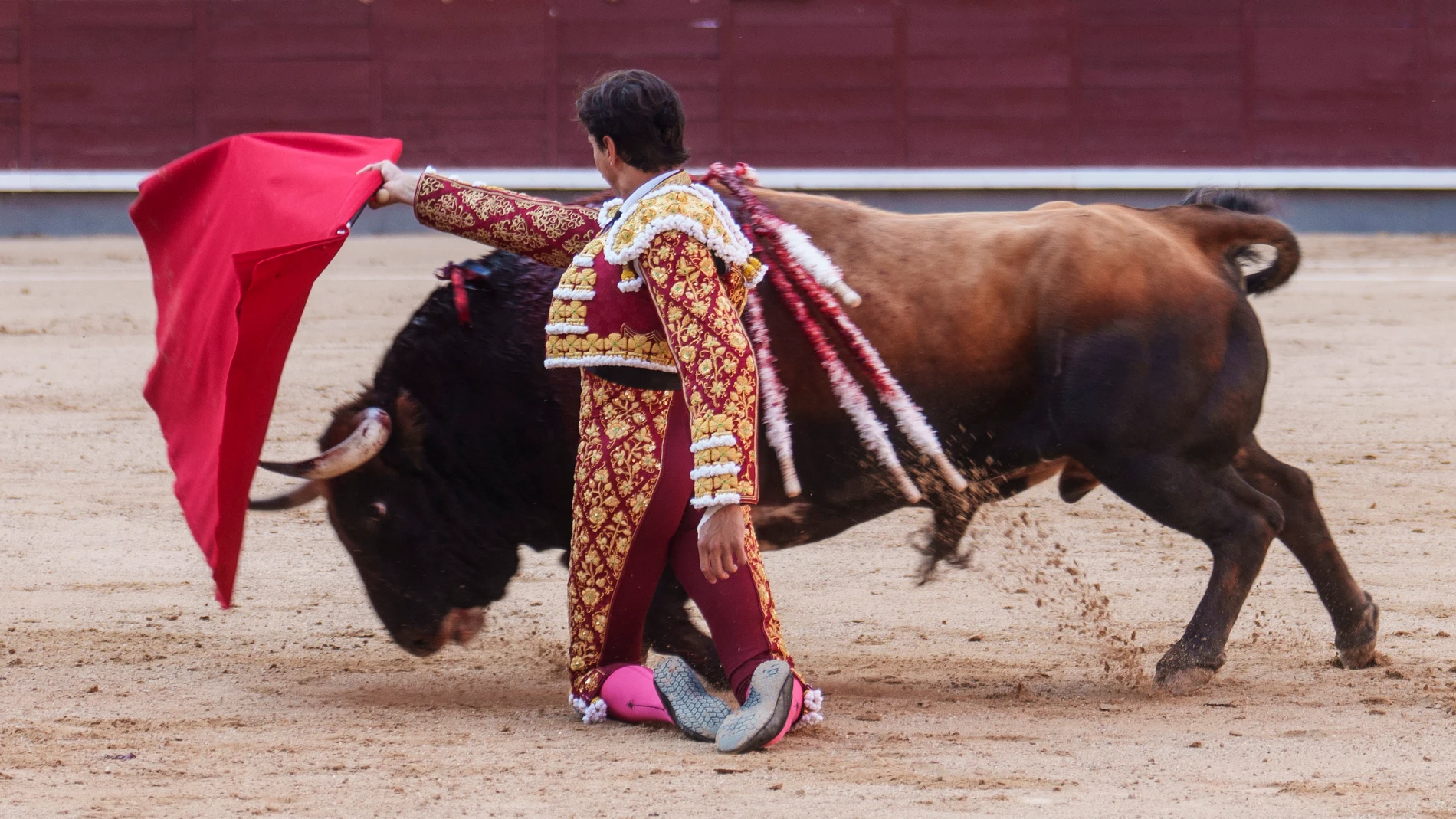 Roca Rey en la Plaza de toros de las ventas