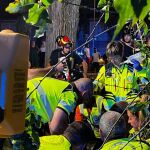 Herido de gravedad un hombre tras caerle una rama de árbol en el barrio de Carabanchel