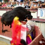 Los Espartales, un salto al vacío de la mansedumbre