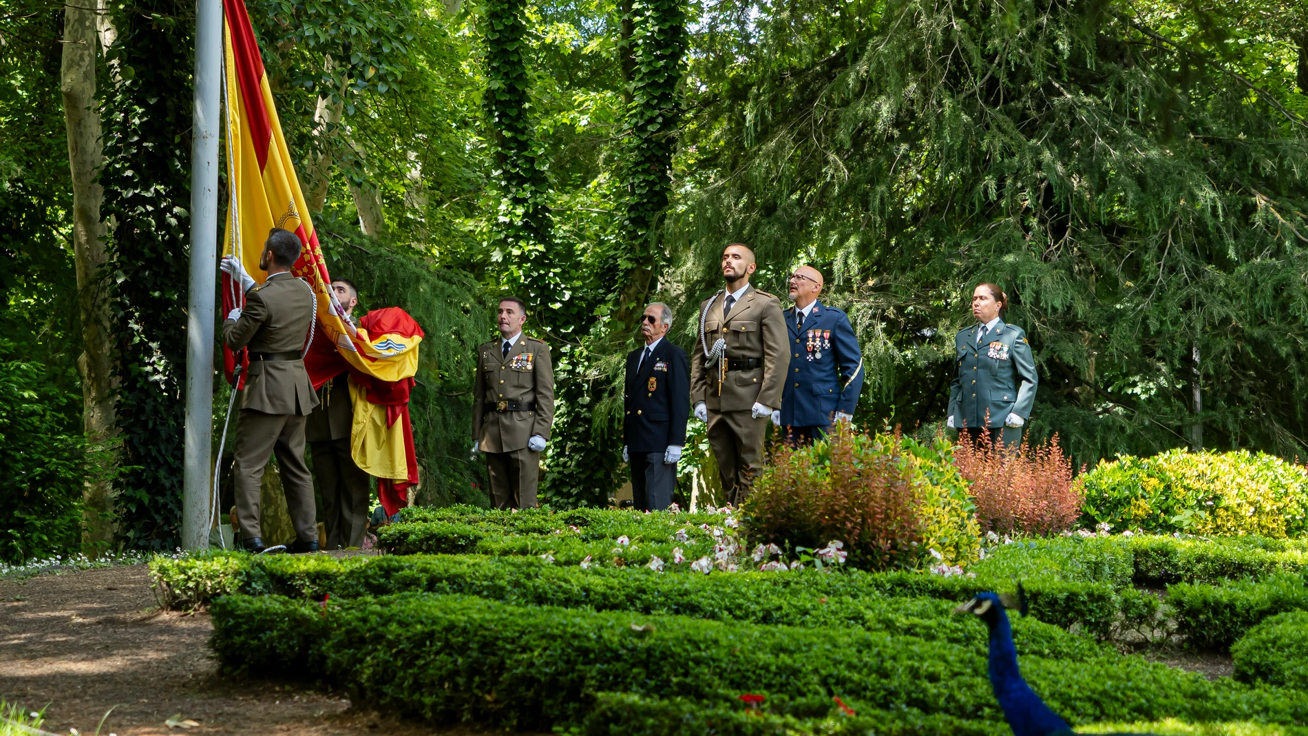 Izado de bandera con motivo de la celebración del Día de las Fuerzas Armadas en Valladolid
