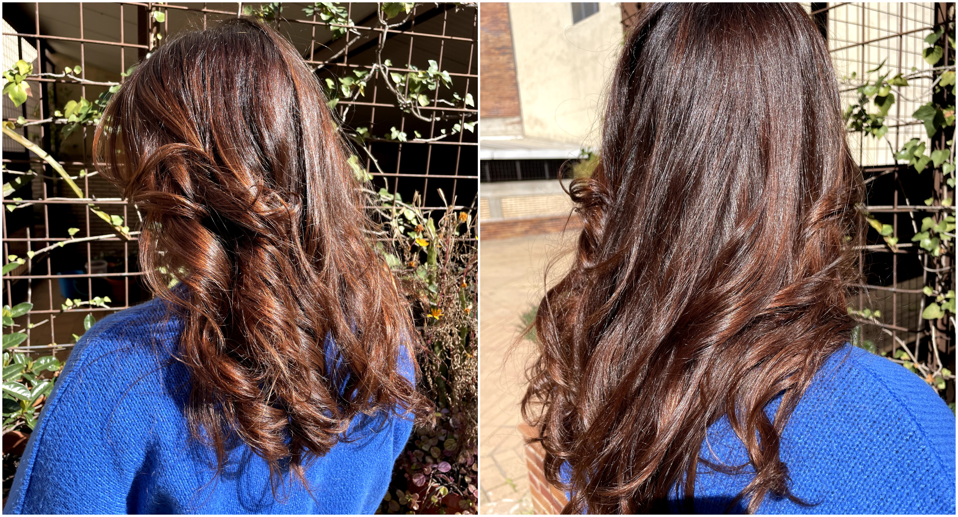 Resultados de pelo ondulado