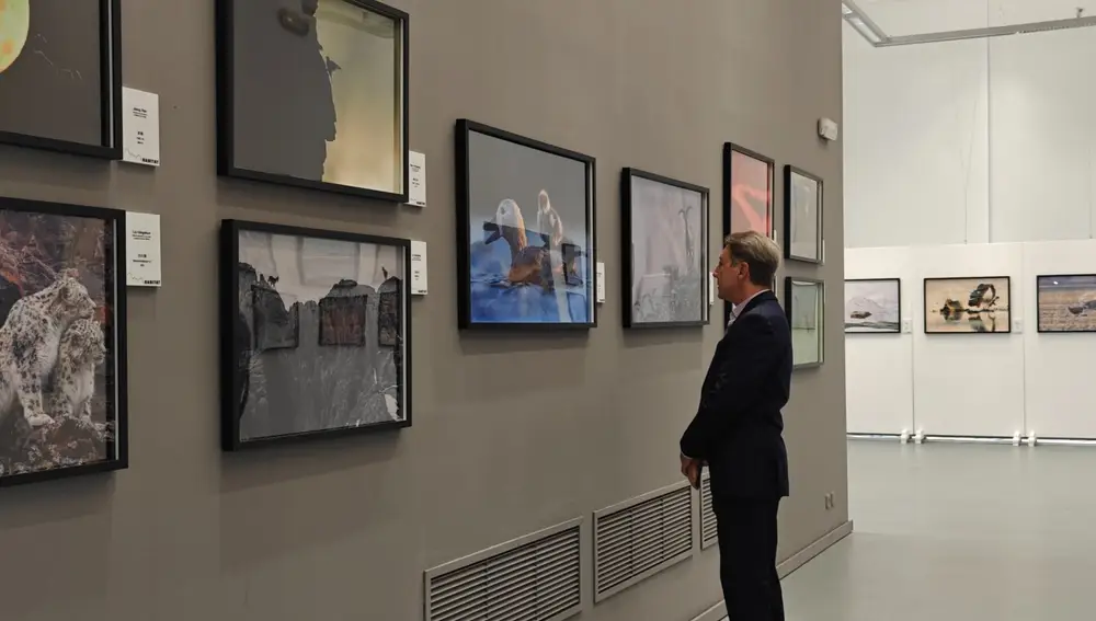 Un espectador de la exposición Hábitat