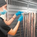 Otro producto de calidad diferenciada reconocido por Europa: el pulpo seco de Adra