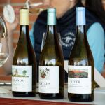  Juvé & Camps extiende su experiencia en vinos tranquilos con Postals d’Espiells y Can Rius d’Espiells