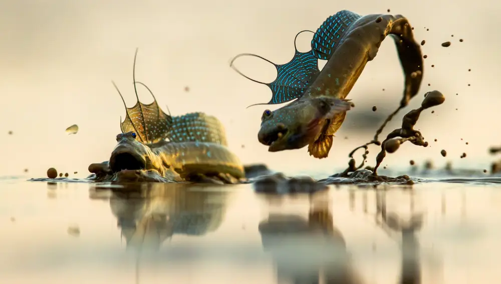 Exposición Fotográfica de Animales Salvajes en China