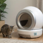 Cecotec Pumba 7000: el arenero inteligente que limpia solo y es ideal para hogares con varios gatos