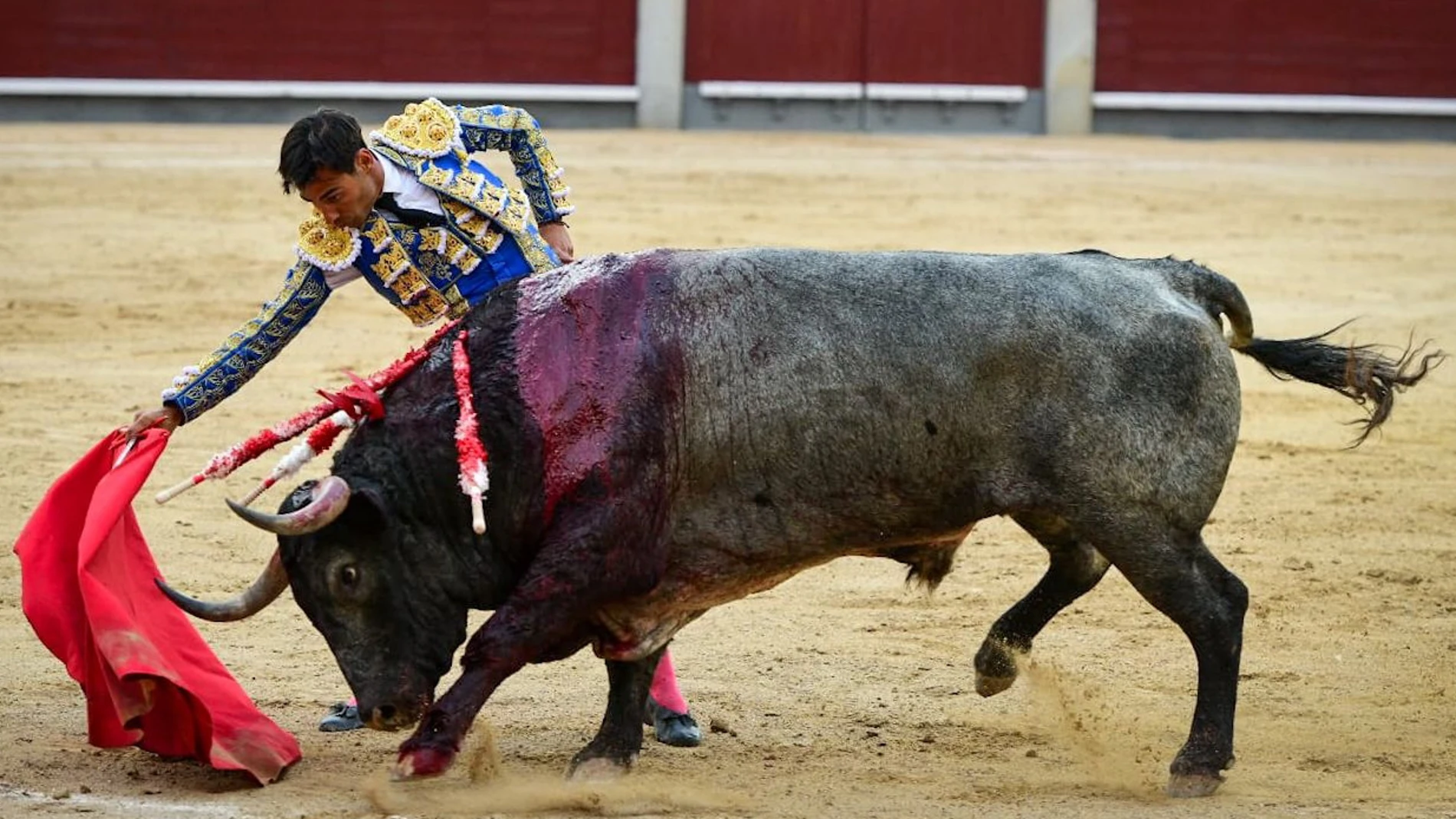 El diestro Gómez del Pilar