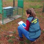Agente de la Guardia Civil de Valladolid durante la investigación