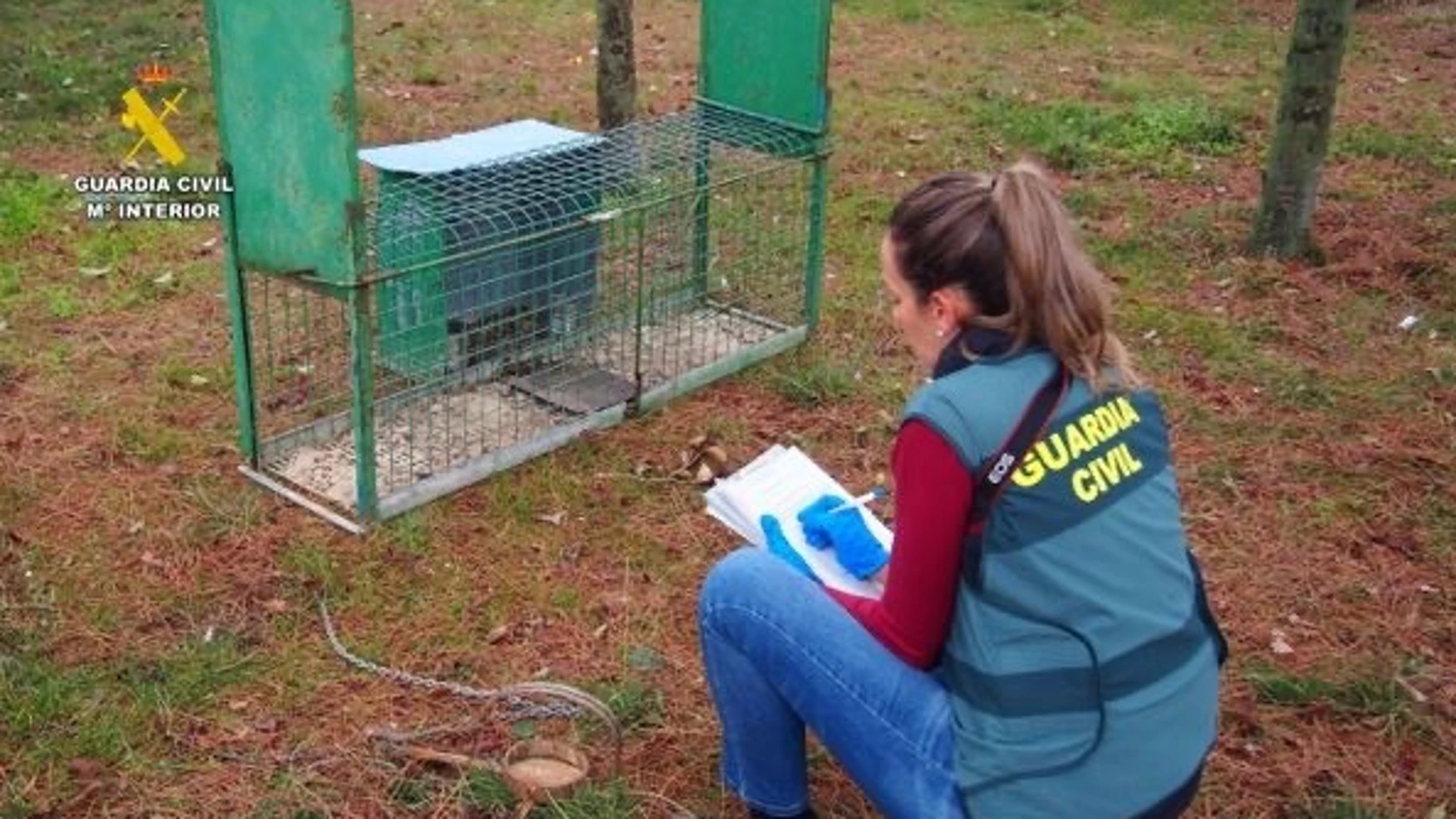 Agente de la Guardia Civil de Valladolid durante la investigación
