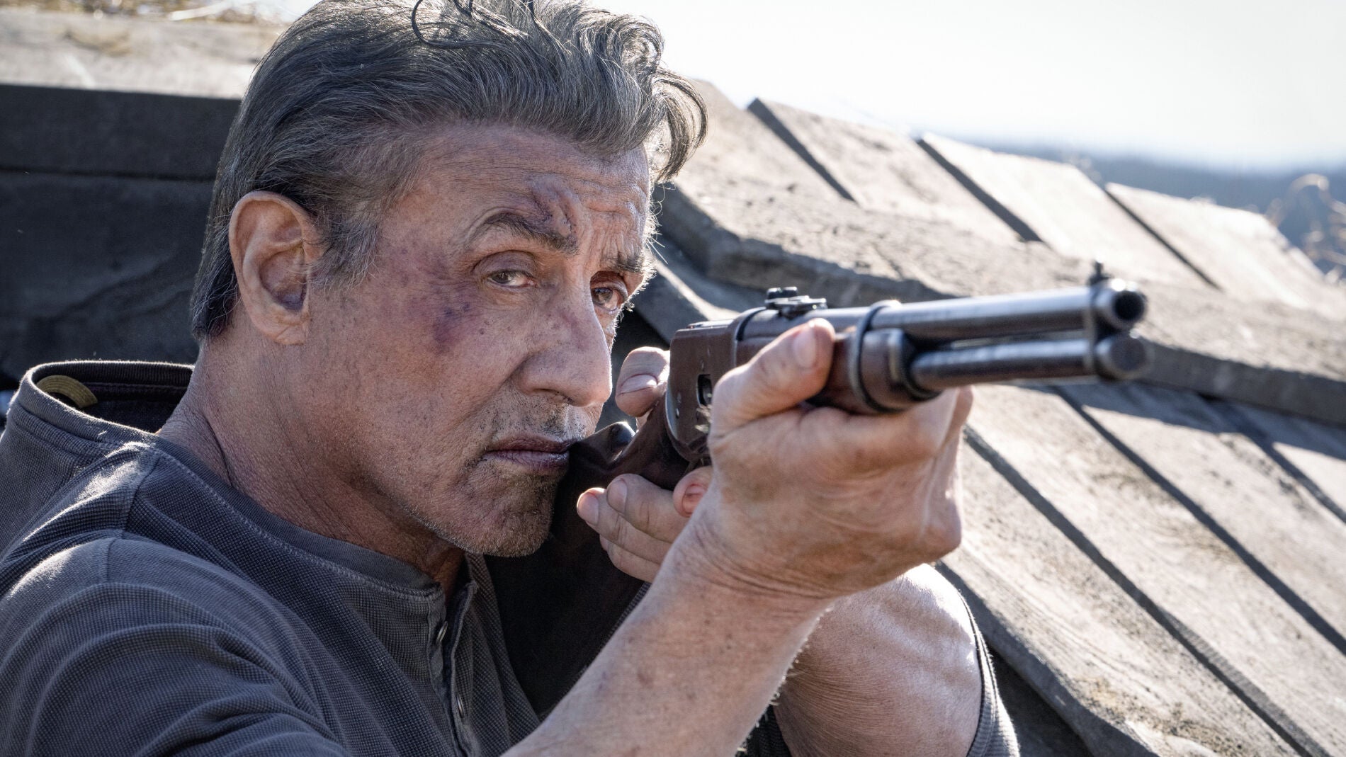 En Que Año Nacio Sylvester Stallone