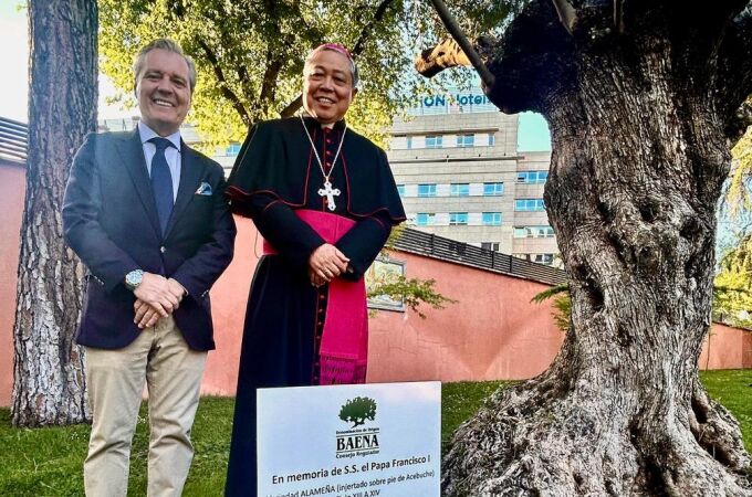 Un olivo centenario de la D.O. Baena honra al Papa Francisco en la Nunciatura Española