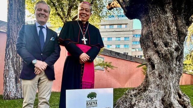 Un olivo centenario de la D.O. Baena honra al Papa Francisco en la Nunciatura Española