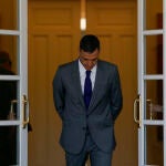 Pedro Sánchez 