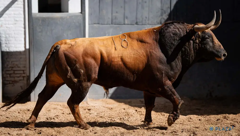 "Zafio", nº 18