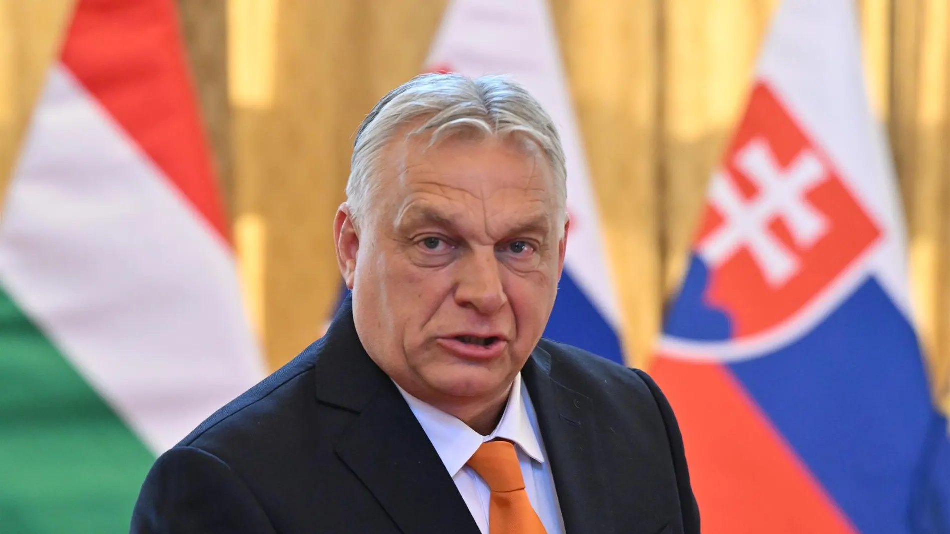 AMP.- Abogada General de la UE ve en la ley de Orbán contra contenidos LGTBI una violación de derechos