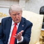 US President Trump meets German Chancellor Merz at the White House