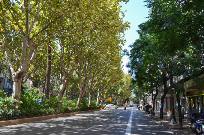Ya hay fecha para el reasfaltado de Gran Vía Marqués del Turia en Valencia: conoce cuándo estará en obras