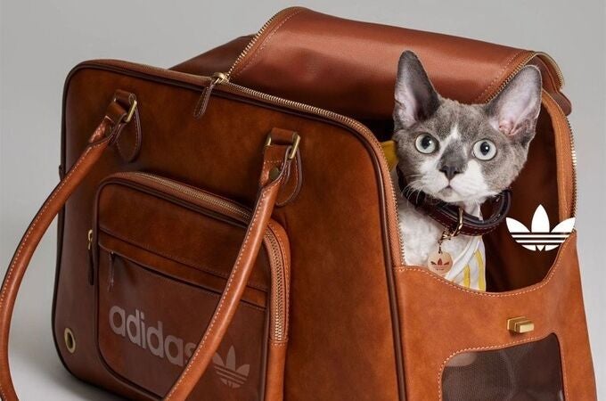 Adidas Originals lanza colección para mascotas: estilo urbano para perros y gatos