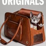 Adidas Originals lanza colección para mascotas: estilo urbano para perros y gatos