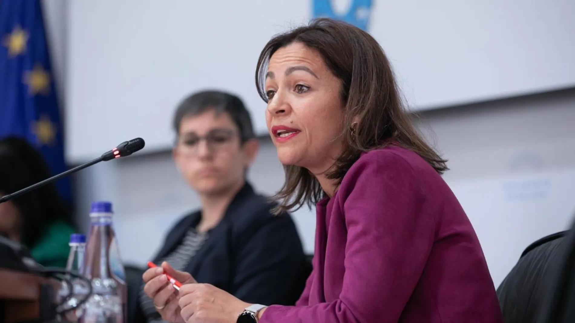 Marta Villaverde, en una intervención parlamentaria.