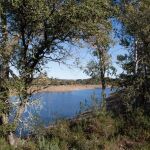 Los Lagos del Serrano: una joya natural de Sevilla para escapar del calor sin ir a la playa