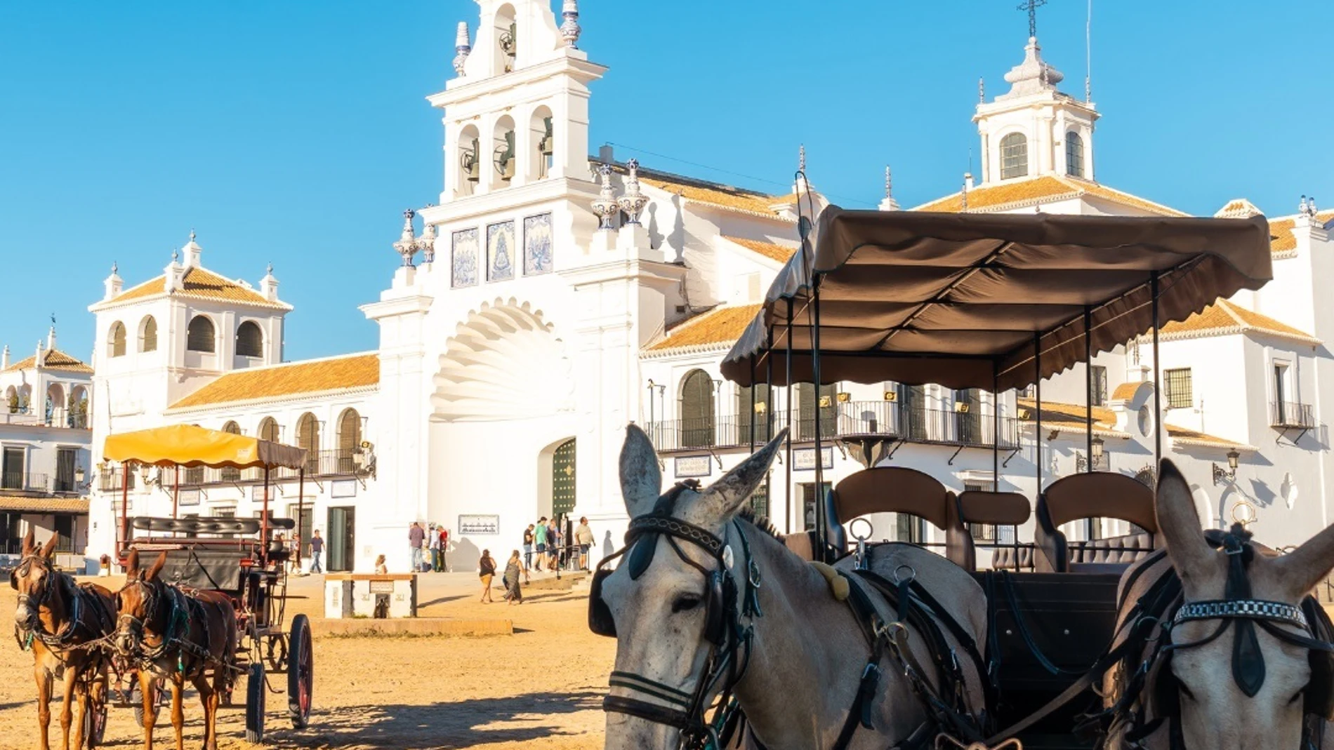 Animales en carruajes en El Rocío (Huelva).REMITIDA / HANDOUT por AYUNTAMIENTO DE ALMONTEFotografía remitida a medios de comunicación exclusivamente para ilustrar la noticia a la que hace referencia la imagen, y citando la procedencia de la imagen en la firma05/06/2025