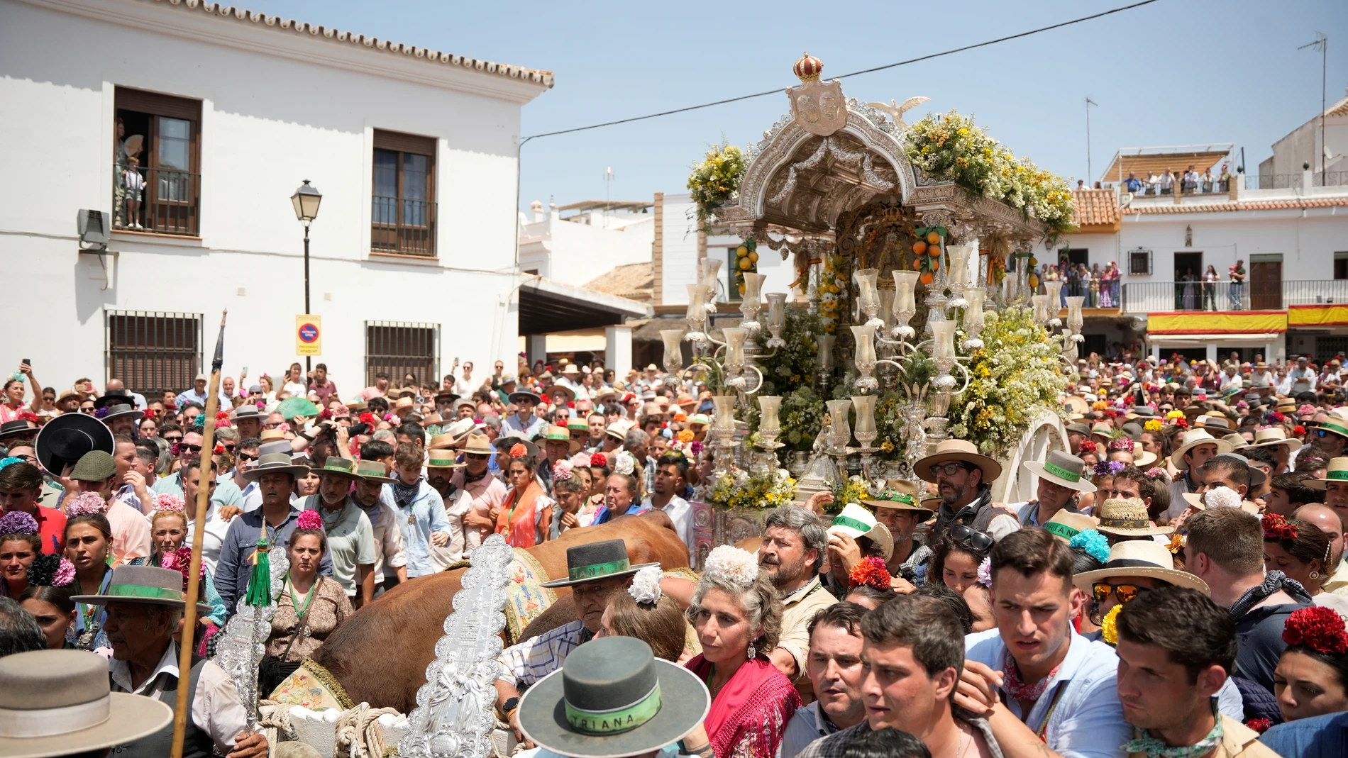 Simpecados de las hermandades del Rocío, junto a sus peregrinos, llegan al santuario de la Virgen en Almonte para la presentación de hermandades, a 7 de junio de 2025 en Almonte (Huelva, Andalucía).La presentación de hermandades del Rocío es uno de los actos más emblemáticos de la romería, y tiene lugar el sábado previo al Domingo de Pentecostés en la aldea del Rocío. Durante esta jornada, cada hermandad filial se acerca al santuario para rendir homenaje a la Virgen del Rocío y a la Hermanda...