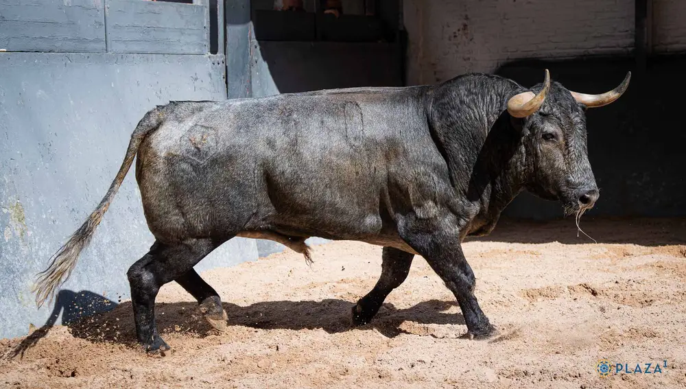 "Madroño", nº 90
