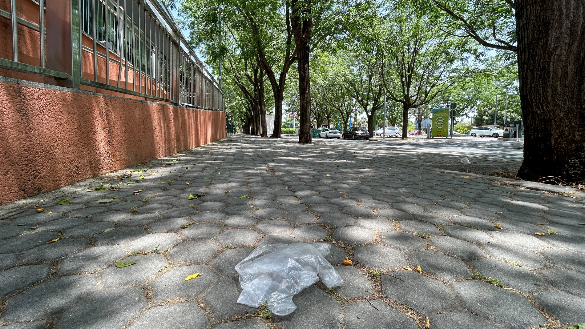 SEVILLA, 07/06/2025.- Imagen de la calle Aviación de Sevilla, donde este sábado era asesinado un joven de unos 20 años junto a una discoteca, en un suceso que investiga la Policía Nacional. EFE/Fermín Cabanillas