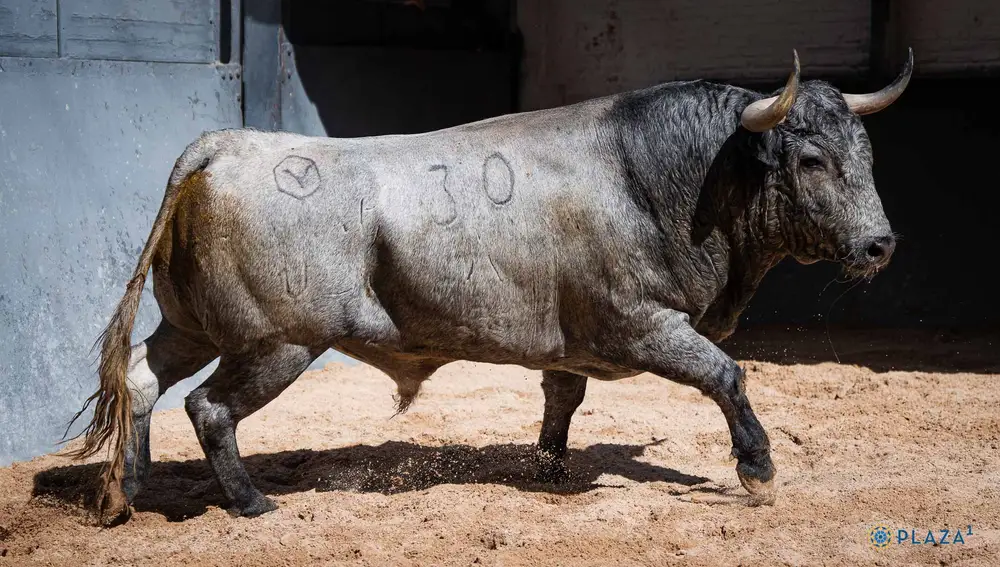"Baratero", nº 30
