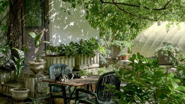 El error que podría arruinar tu compostaje y dañar tu jardín, según una experta