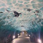 De túnel oscuro a acuario submarino, así es esta maravilla que han creado en Cantabria