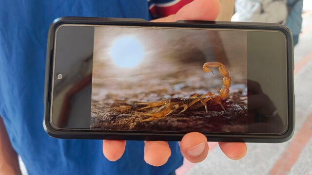 Carlos Pérez, el estudiante de la Universidad de Alcalá que mejor fotografía la naturaleza