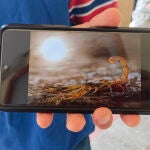 Carlos Pérez, el estudiante de la Universidad de Alcalá que mejor fotografía la naturaleza