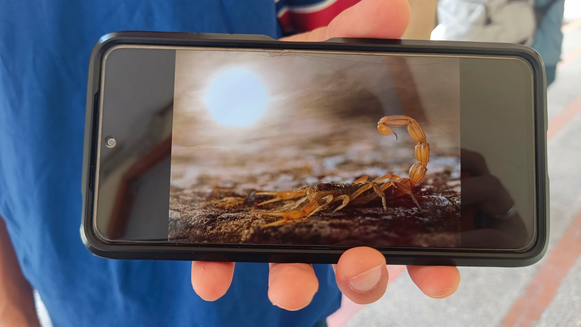 ALCALÁ DE HENARES (MADRID), 08/06/2025.- Carlos Pérez muestra en el móvil su fotografía premiada en el Wildlife Photographer of the Year de 2018. Estudia Biología en la Universidad de Alcalá de Henares pero con 19 años Carlos Pérez ya ha ganado premios importantes por sus fotografías de naturaleza, como el Wildlife Photographer of the Year 2018 o el FotoAves 2024, gracias a su afición por las fotos y el entorno natural en que se ha criado en Calamocha (Teruel). EFE/Guillermo Martínez