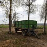 MADRID.-La Comunidad convoca 35 cursos gratuitos y jornadas para los sectores agropecuario, agroalimentario y forestal