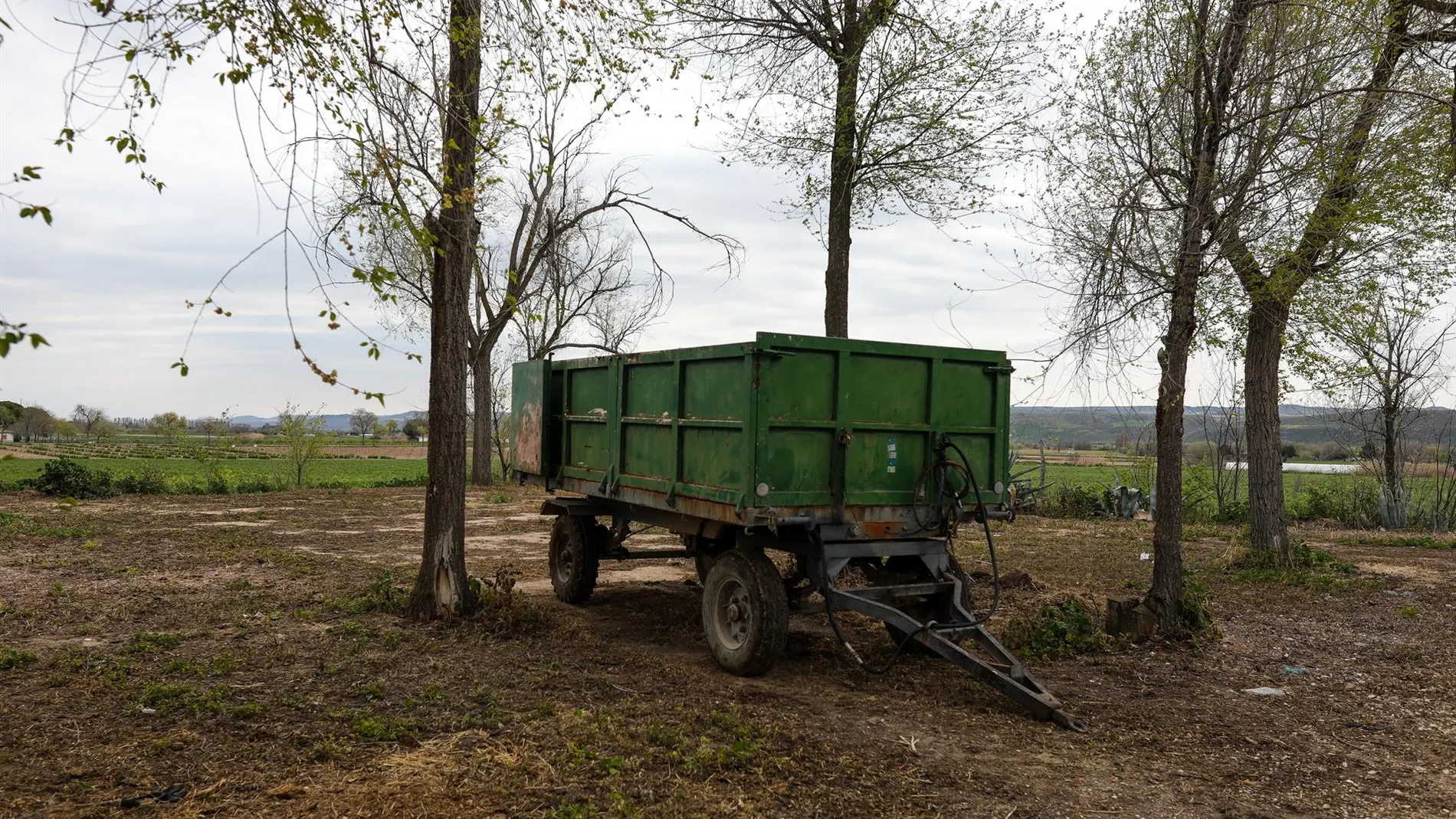 MADRID.-La Comunidad convoca 35 cursos gratuitos y jornadas para los sectores agropecuario, agroalimentario y forestal