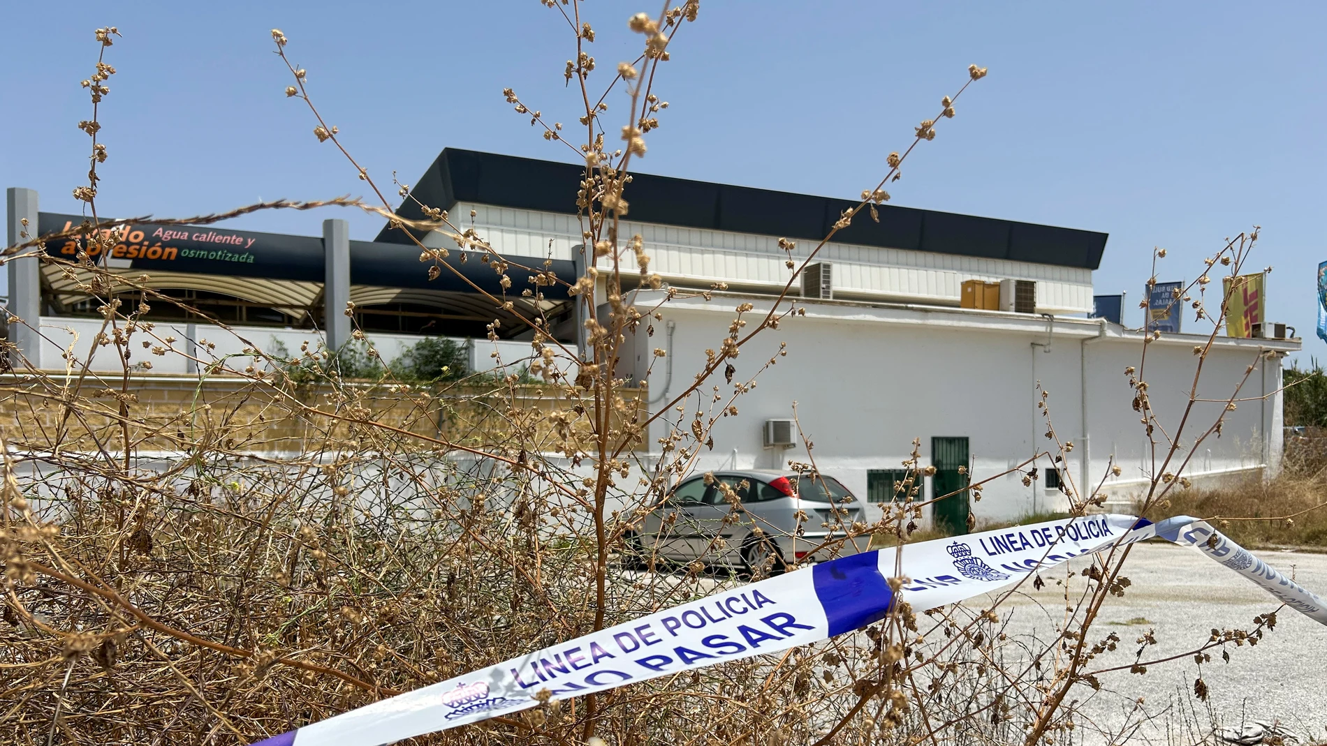 MARBELLA (MÁLAGA), 08/06/2025.- Vista del descampado en Marbella (Málaga) donde ayer sábado fue asesinada a una mujer presuntamente a manos de su pareja, que fue detenido por agentes de la Policía Nacional, y que, según los primeros indicios, pudo acabar con la vida de la mujer a golpes, aunque será la autopsia la que determine las causas concretas que rodean su muerte. EFE/ Esther Gómez